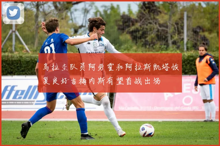 乌拉圭队员阿劳霍和阿拉斯凯塔恢复良好吉梅内斯有望首战出场